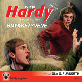 Lydbok - Hardy-guttene - Smykketyvene-