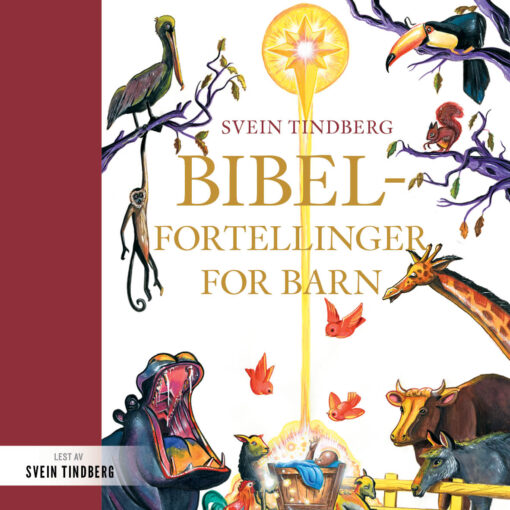 Lydbok - Bibelfortellinger for barn-