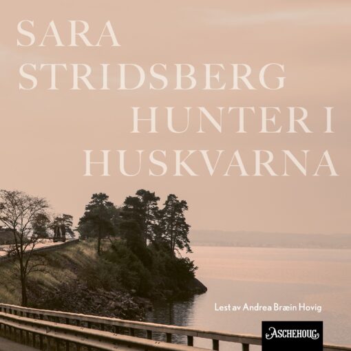 Lydbok - Hunter i Huskvarna-