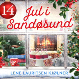 Lydbok - Jul i Sandøsund - Luke 14-