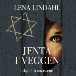 Lydbok - Jenta i veggen-