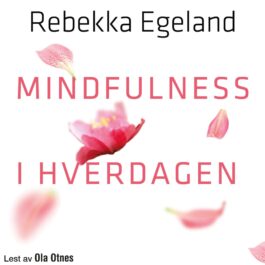 Lydbok - Mindfulness i hverdagen-